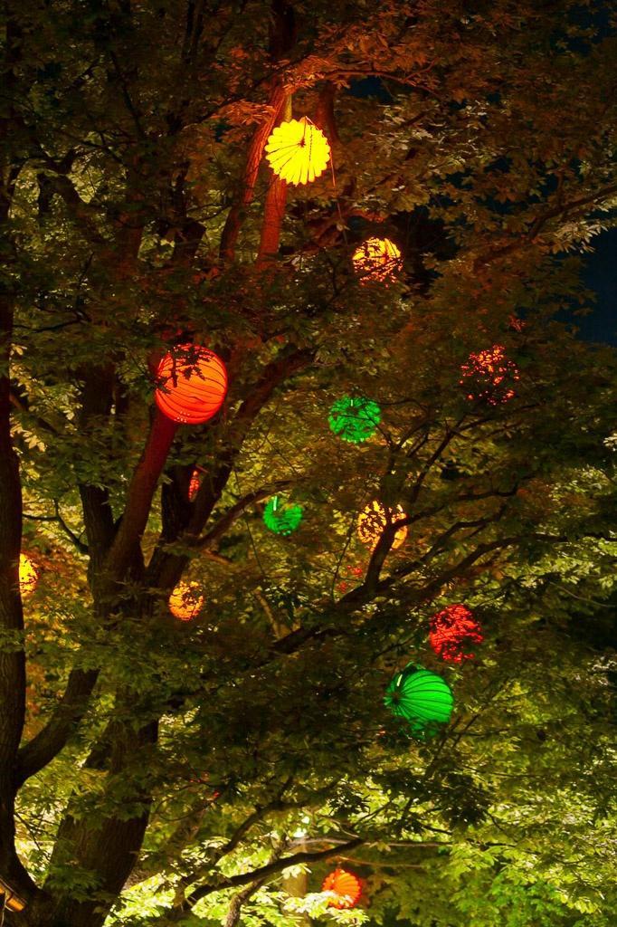 Der wetterfeste und robuste Lampion Barlooon bei der Bergkirchweih in Erlangen an den Kellern in den Bäumen in der Größe L und verschiedenen Farben.