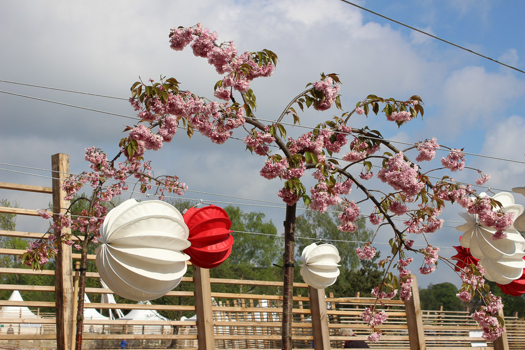 Unser Barlooon in weiß und rot bei der Gartenschau in der Havelregion 2015 - Beim Packhof in der Kirschblüte.