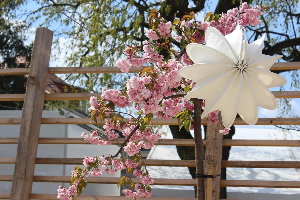 Unser Barlooon in weiß in der Größe S bei der Gartenschau in der Havelregion 2015 - Der Frühling ist da.
